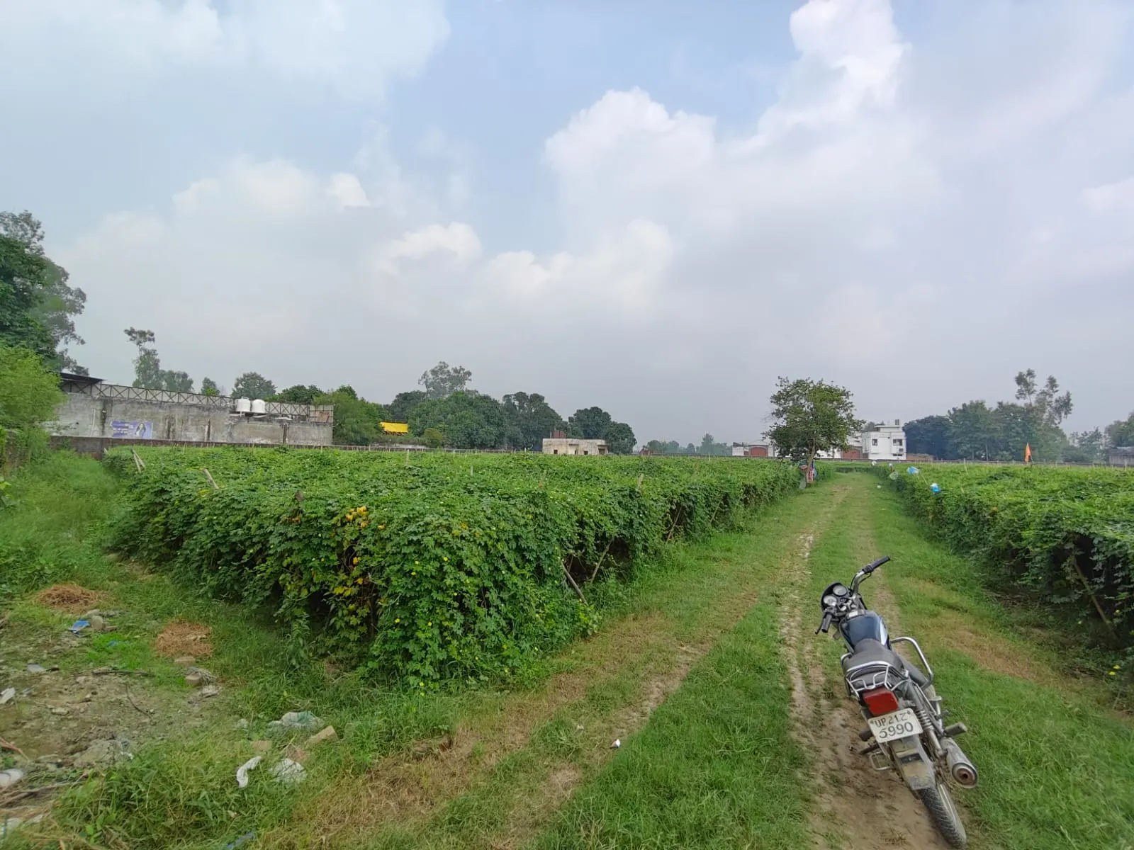 3 Acre Land - Image 1