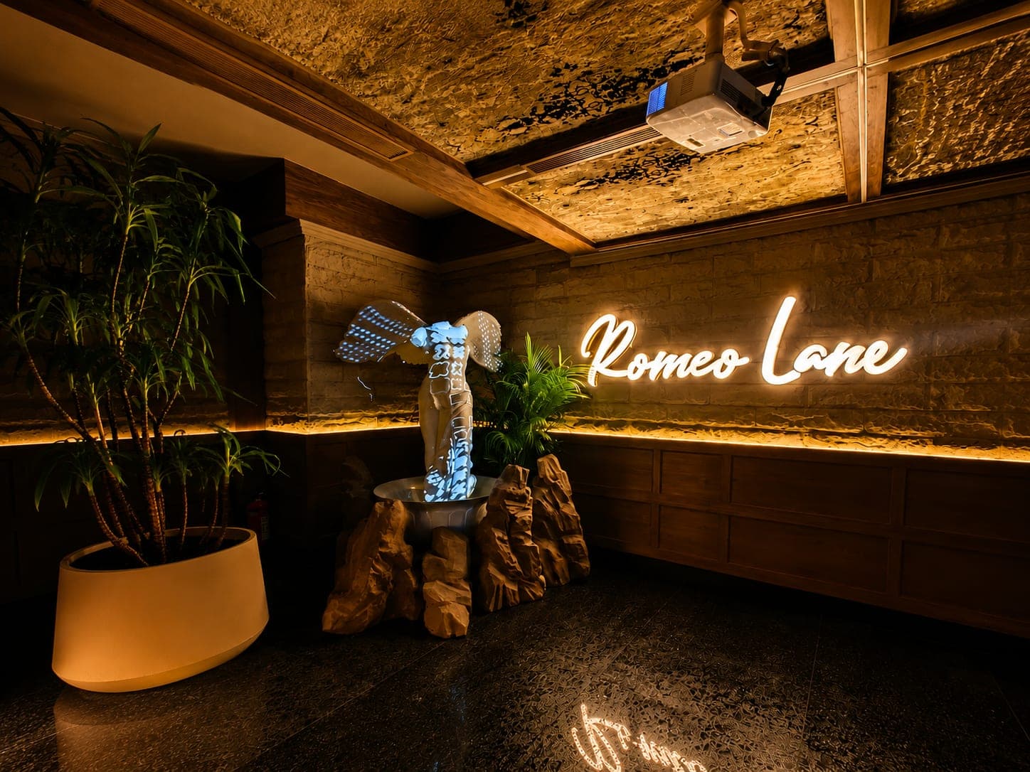 Rooftop Commercial Property for Sale | Pre-Leased to Romeo Lane- Cafe & Lounge | 9-Year Lease | 14 Cr Deal