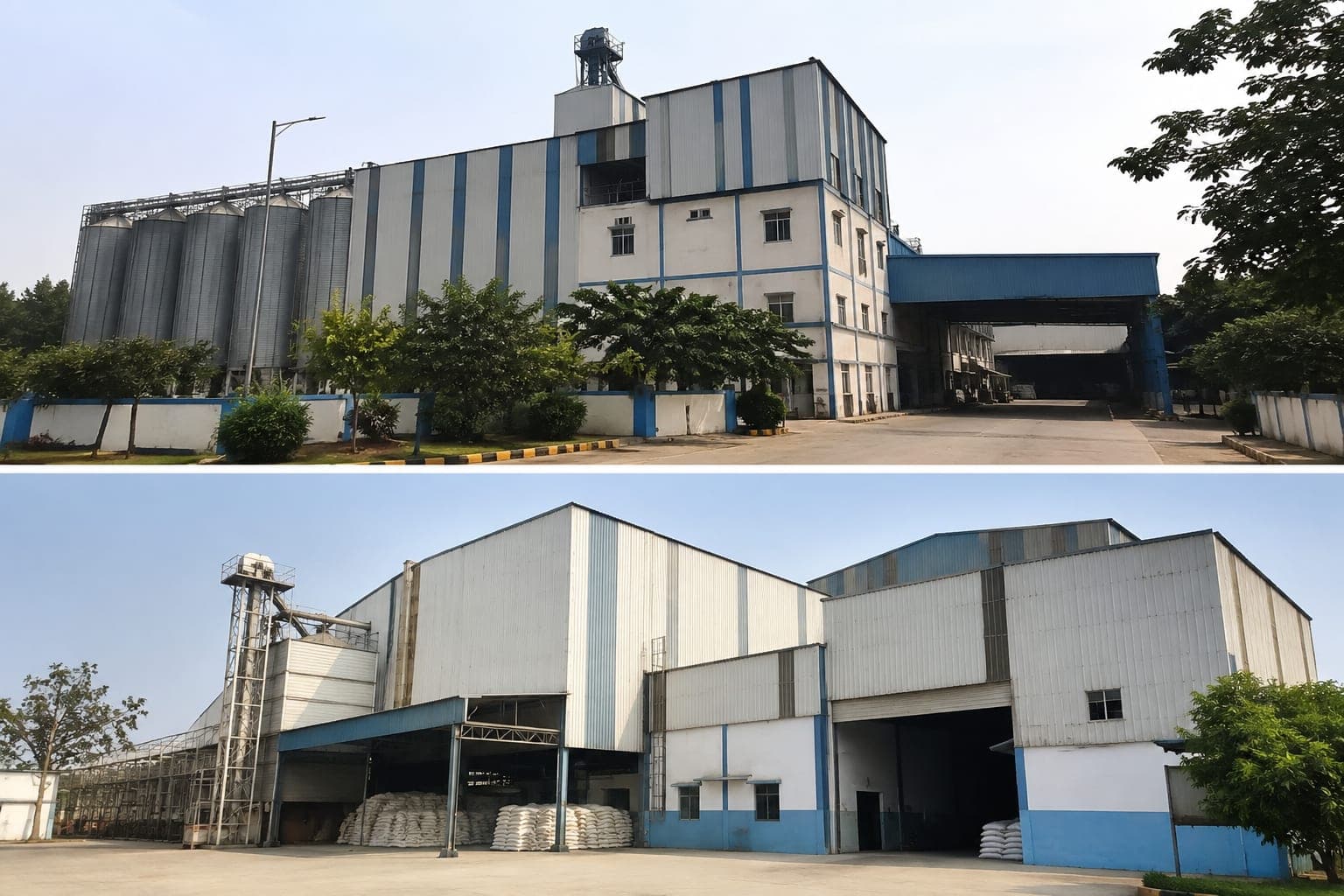 Premium Flour Mill for Sale in Delhi NCR | 65+ Years Legacy | ₹1,500 C