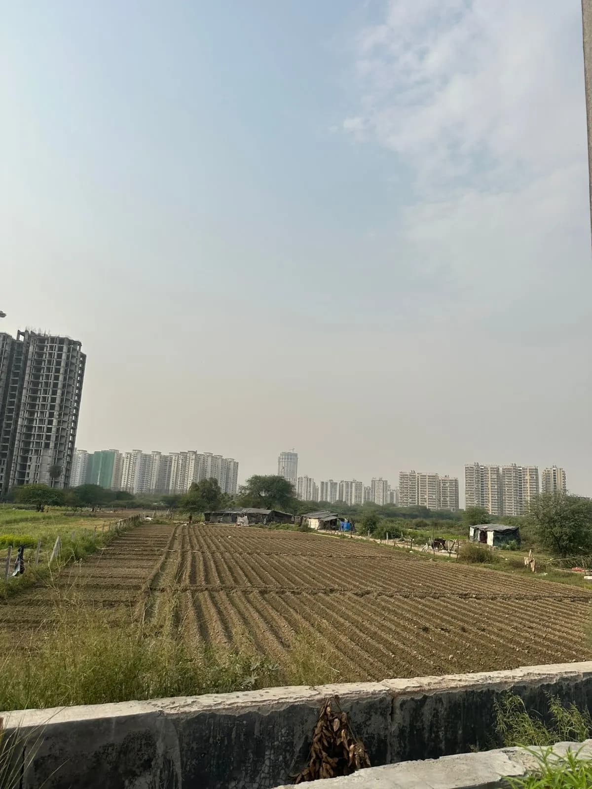 Commercial Land for Sale in Sector 79, Noida | 6,750 Sq Yards - Image 1